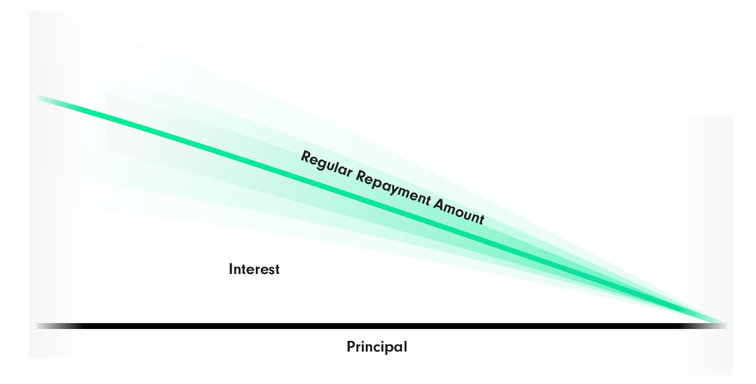 Reducing, or flat loan repayment graph - showing home loan interest and principle